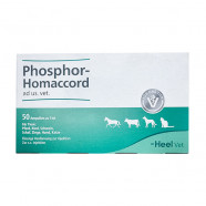 Купить Фосфор гомаккорд для собак (Phosphor-Homaccord Heel) ампулы №50 в Новосибирске